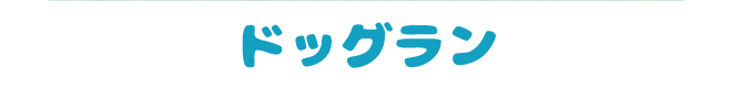 SKYわんにゃんマーケット