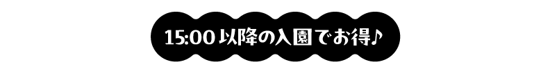 チケット内容