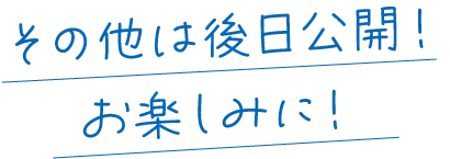 その他は後日公開