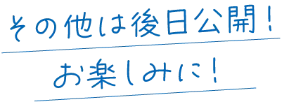 その他は後日公開