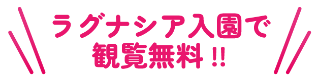 ラグナシア入園で観覧無料!!