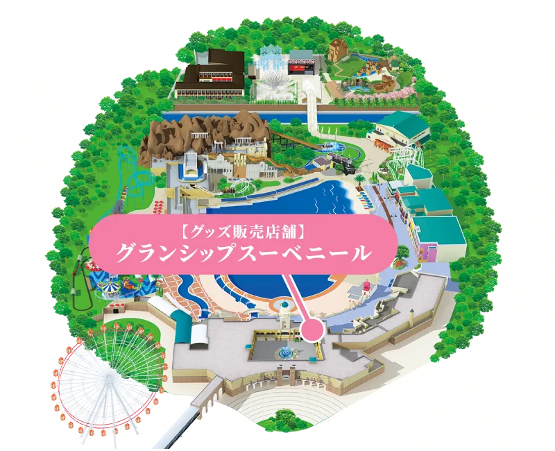 マップ