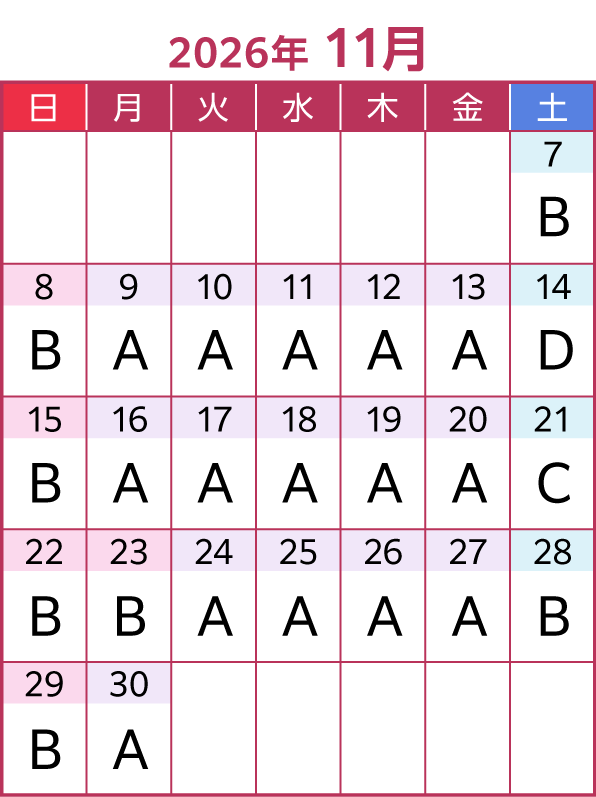 2026年11月