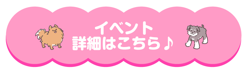 詳細は近日公開