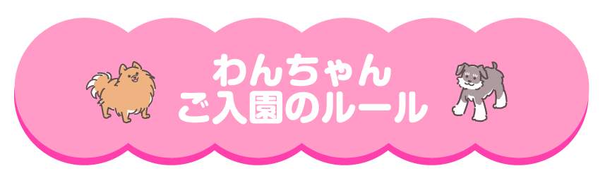 詳細は近日公開