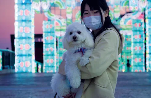 SKYわんにゃんマーケット