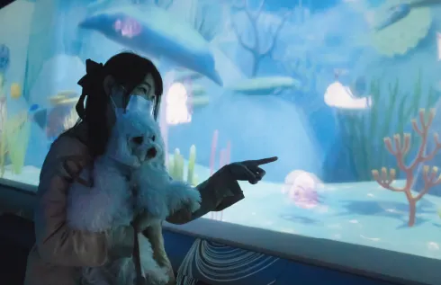 SKYわんにゃんマーケット