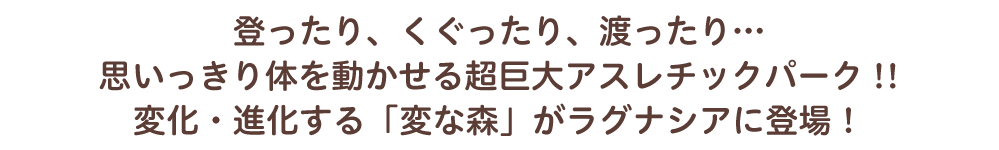 登ったり、くぐったり、渡ったり…思いっきり体を動かせる超巨大アスレチックパーク!!