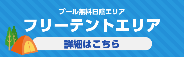 昼プール