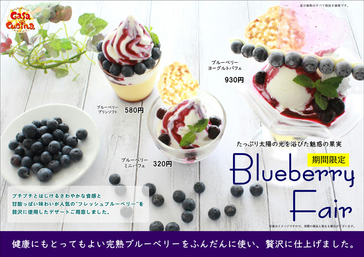 ブルーベリーフェア