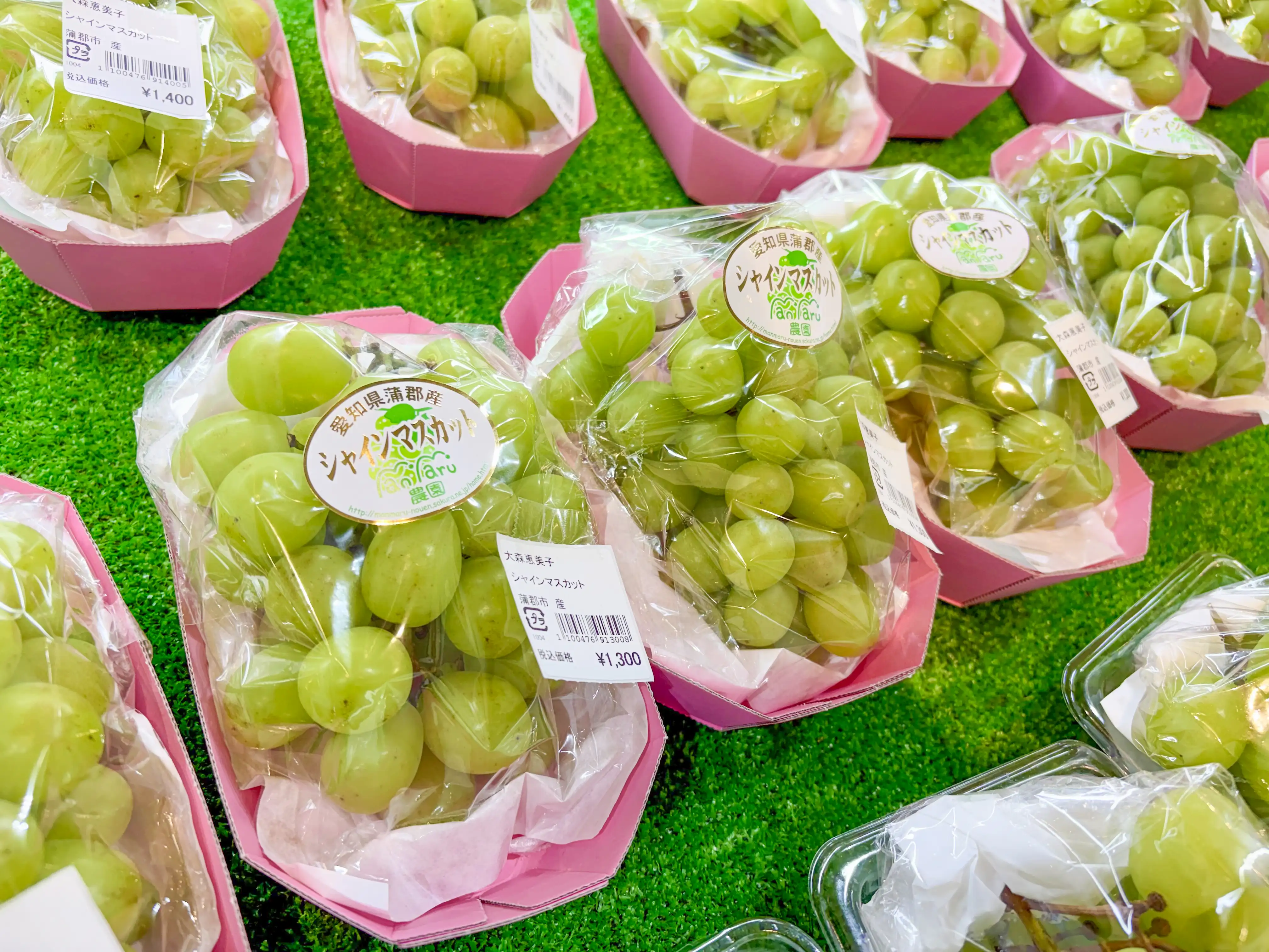 Vege Cul | ショップ情報 | フェスティバルマーケット | ラグーナ