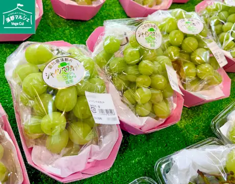 蒲郡産シャインマスカット入荷！