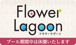 フラワーラグーン