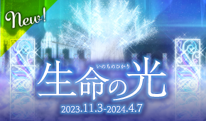 ガトーズパラレルジムナスティック