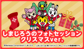 しまじろうのフォトセッション クリスマスver