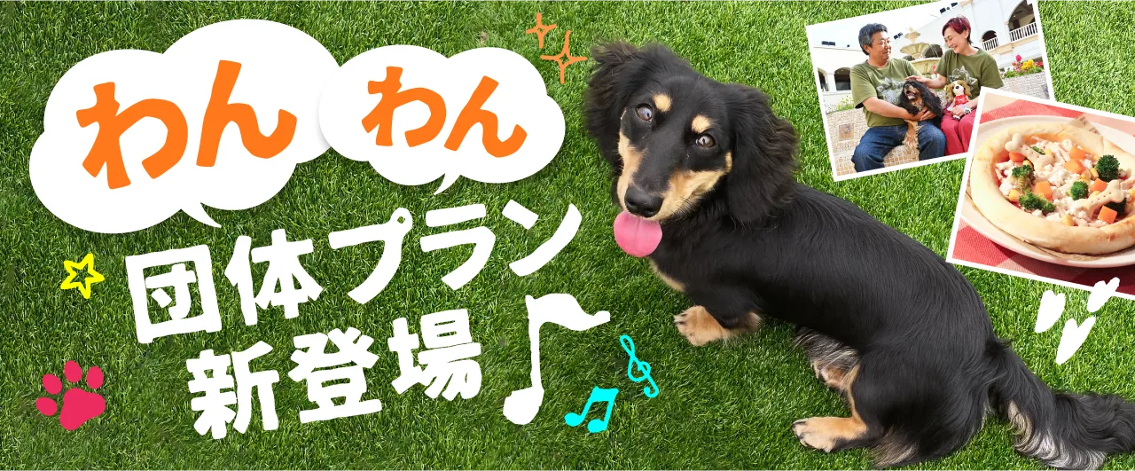 わんわん団体プラン新登場！