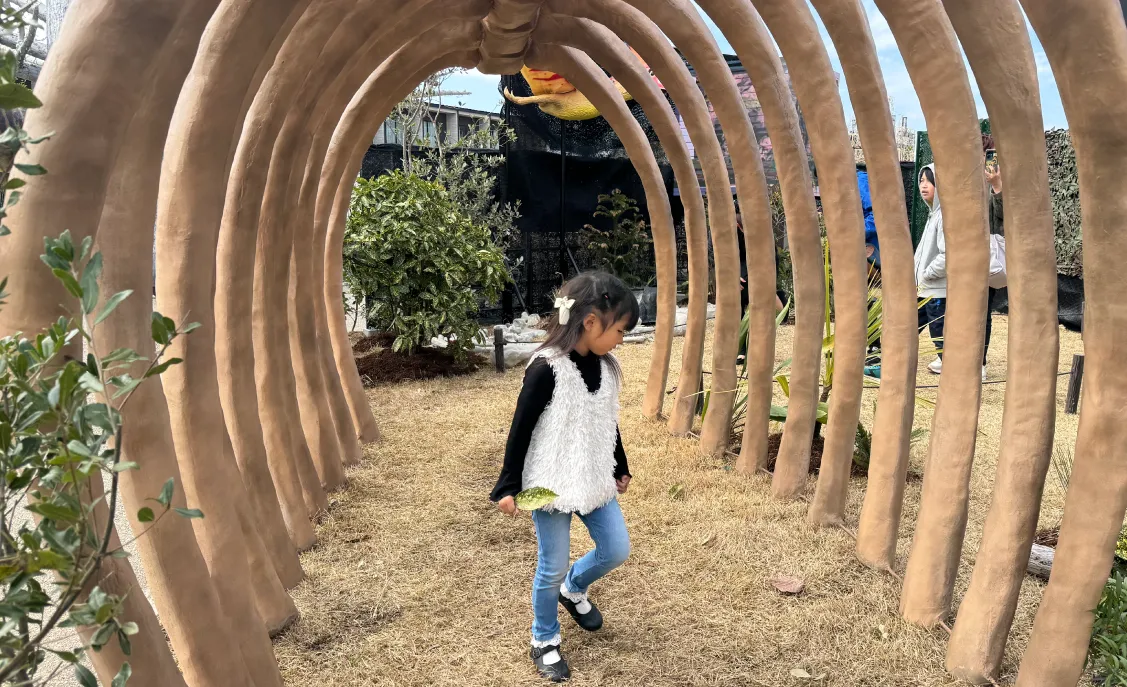 3D恐竜迷路