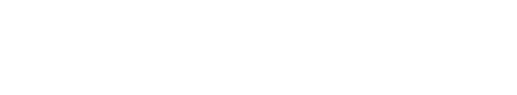 エンターテイメントショー