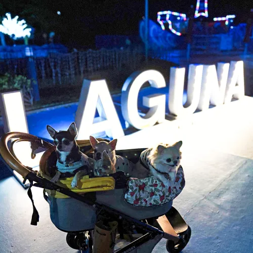 イルミネーション