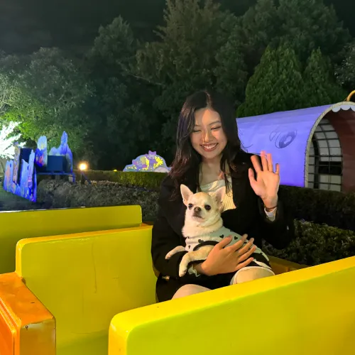 ぷくぷくトレイン