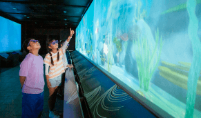 3D水族館