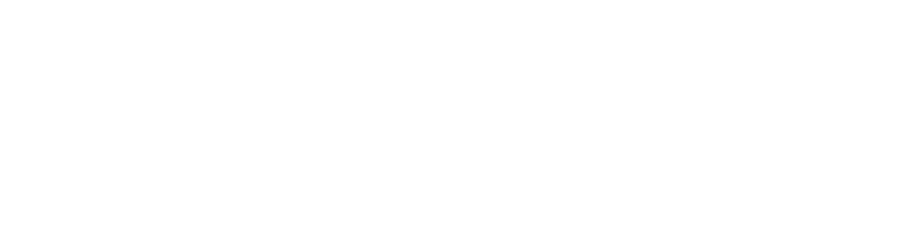 選べる3種類の年間パスポート