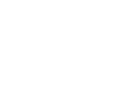 年間パスポート 電子チケット
